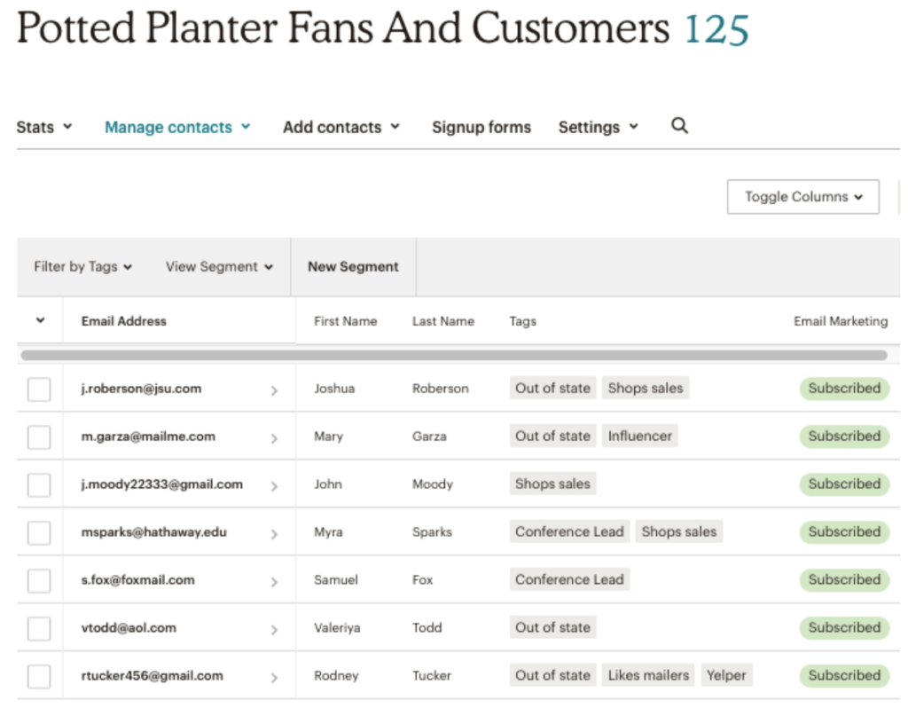 Mailchimp Tags Display Dashboard